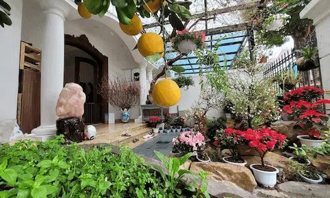 Biệt thự sang trọng ngập hoa Tết của Tuấn Hưng và vợ chủ tịch