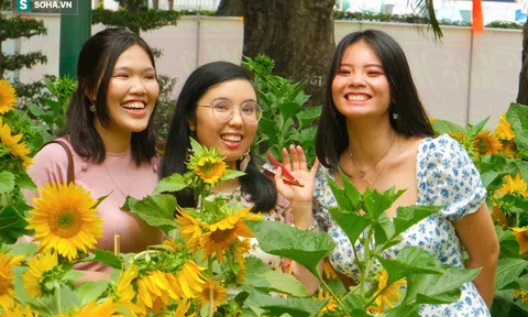 Dòng người háo hức "lên đồ" chơi Tết ở Hội hoa xuân Tao Đàn, nhiếp ảnh gia kín lịch chụp