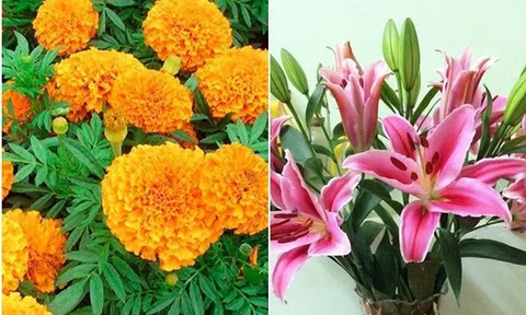 9 loại hoa không nên bày trên bàn thờ ngày Tết Nguyên đán