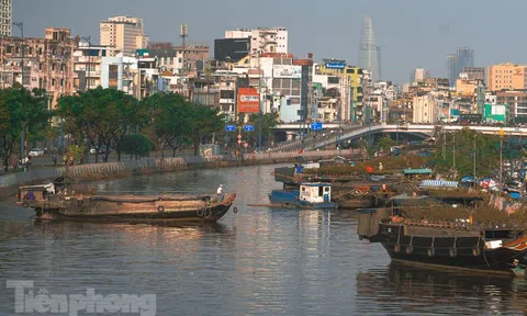 Người dân TPHCM ra Bến Bình Đông ủng hộ hoa, không đợi đến gần giao thừa để mua rẻ