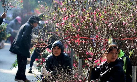 Rét đậm, rét hại ở Bắc Bộ, Bắc Trung Bộ kéo dài đến 4/2