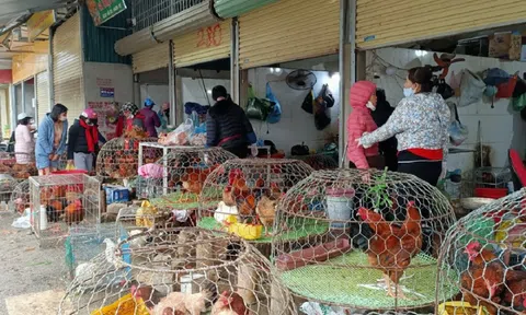 Dịch vụ rửa xe, làm thịt gà thuê "hốt bạc" ngày Tết