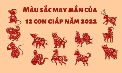 Chuyên gia chỉ những màu sắc mang lại tài lộc, may mắn cho 12 con giáp dịp Tết 2022