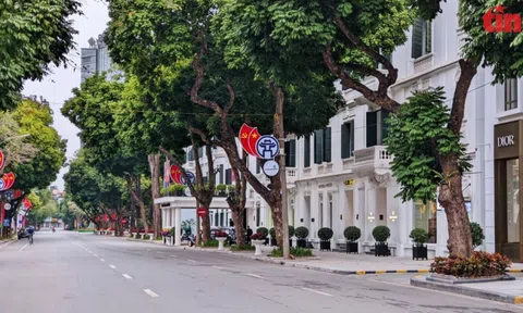 Một Hà Nội đẹp nôn nao trong bình yên sáng mùng 1 Tết