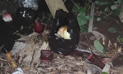 Bỏ rơi bé trai mới sinh ngoài vườn chuối trong tiết trời lạnh 10 độ C ngày mùng 1 Tết