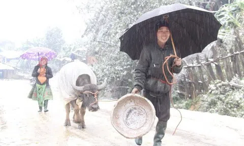 Mùng 3 Tết miền Bắc tiếp tục giảm nhiệt, rét tê tái vùng núi cao có nơi dưới 3 độ