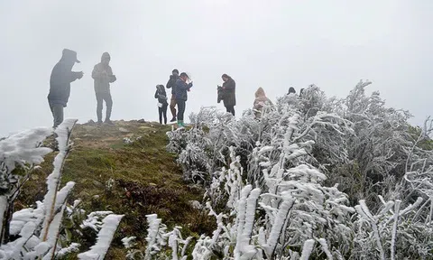 Mùng 4 Tết, Hà Nội rét đậm rét hại vùng núi cao khả năng có băng giá, mưa tuyết