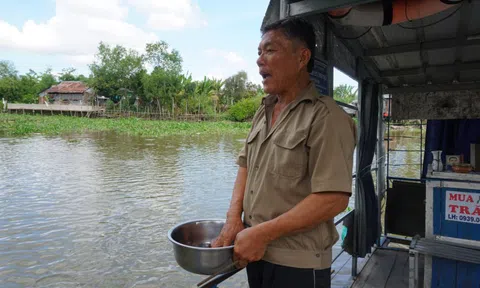 Đàn cá hàng ngàn con trú ngụ nơi bến đò ở Cái Bè không chịu rời đi