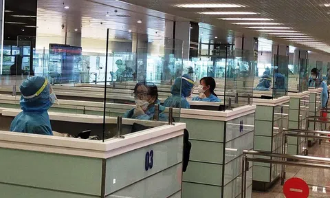 Hàng ngàn người Việt về nước trên các chuyến bay của hãng hàng không nước ngoài dịp Tết