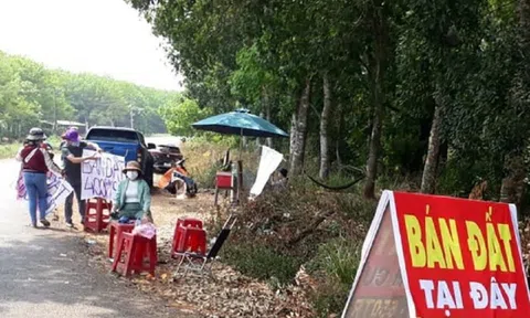 Tăng mức phạt hành vi môi giới BĐS mà không có chứng chỉ hành nghề