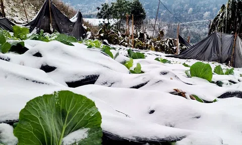 Miền Bắc tiếp tục mưa phùn gió rét, vùng núi cao có nơi dưới 5 độ