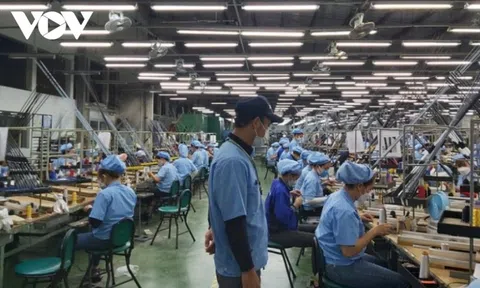 Hơn 96% lao động ở Đà Nẵng đã trở lại làm việc sau hơn một tuần nghỉ Tết