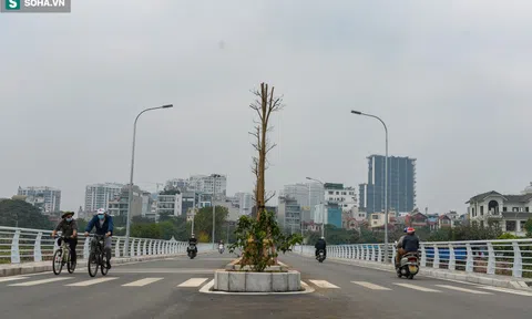 [Ảnh] Cận cảnh tuyến đường chạy qua hồ sen đẹp nhất nhì Hà Nội