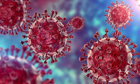 TPHCM phát hiện thêm 5 ca Omicron trong cộng đồng sau Tết