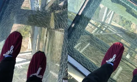 Cầu kính cao nhất Việt Nam "nghi bị nứt" sẽ được thay thế