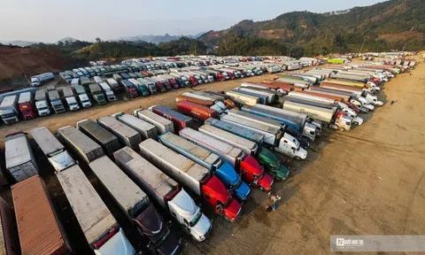 Lạng Sơn tạm dừng tiếp nhận xe chở hoa quả lên cửa khẩu từ 16/2