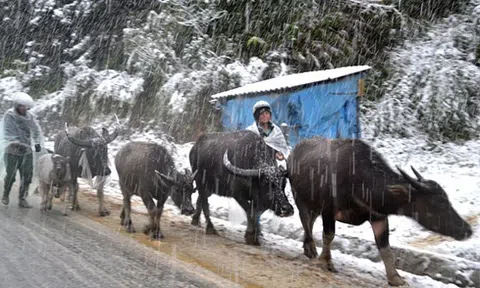 Miền Bắc sắp đón liên tiếp 2 đợt không khí lạnh mạnh