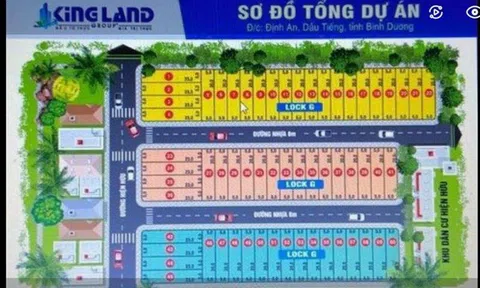 Lập dự án "ma” chiếm đoạt gần 13 tỉ đồng của khách hàng