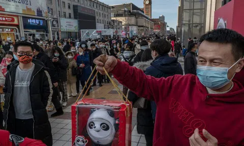 Dân Trung xếp hàng dài, chờ 7-8 tiếng để mua linh vật Thế vận hội Mùa đông