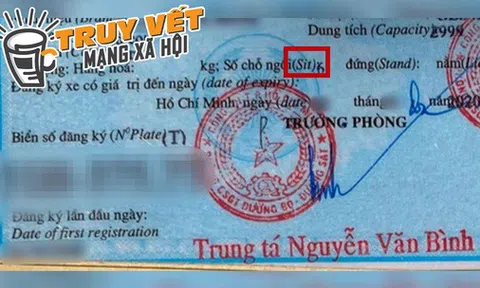 Chuyên gia nói gì về cà-vẹt ô tô sai tiếng Anh?