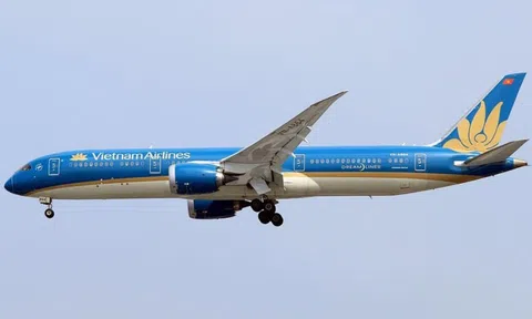 Hé lộ thông tin về nghi phạm đe dọa 'bắn hạ' máy bay Vietnam Airlines