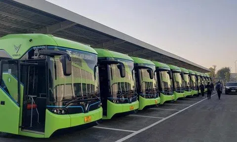 TPHCM cho phép Vinbus thí điểm 5 tuyến xe buýt điện