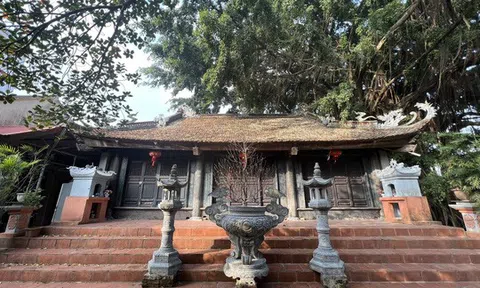 Cụ bà 95 tuổi tha thiết xin tặng chùa cho Giáo hội Phật giáo