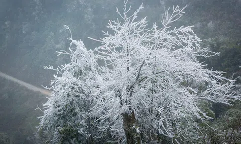 Không khí lạnh tràn về, vùng núi có thể xuống 0 độ C
