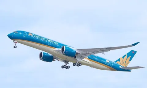 Cảnh sát Nhật bắt nghi phạm 17 tuổi dọa bắn rơi máy bay Vietnam Airlines
