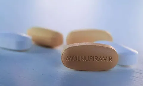 Bộ Y tế cấp phép khẩn cấp 3 loại thuốc Molnupiravir