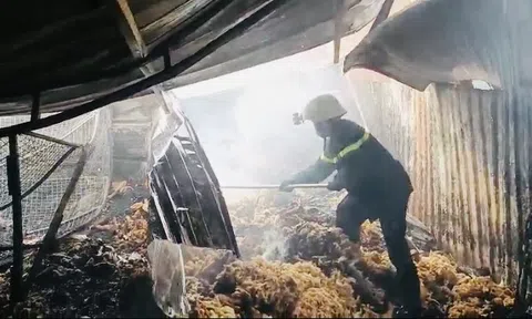 TP HCM: Cháy lớn ở công ty gỗ, nhiều người hoảng hốt