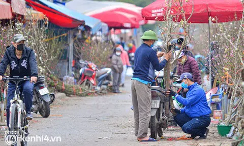 Ảnh: Sau Tết, hoa lê rừng bán tràn lan ngoài phố, người dân Hà Nội ùn ùn đến mua