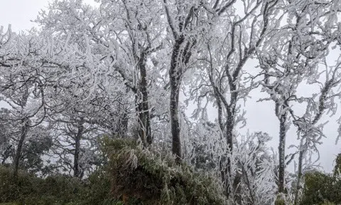 ẢNH: Băng tuyết phủ trắng đỉnh Phia Oắc khi nền nhiệt xuống -6 độ C, đỉnh Mẫu Sơn cũng bắt đầu đông kết băng