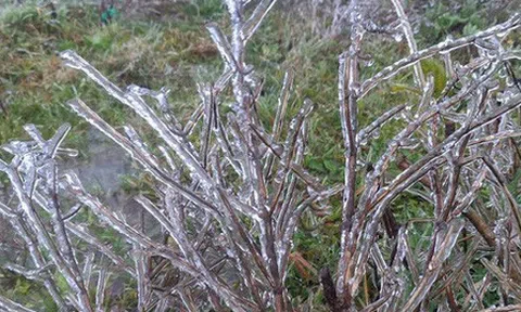 Clip băng tuyết phủ kín như thuỷ tinh trên đỉnh Mẫu Sơn, dân tình đã rục rịch "lên đồ" đi săn tuyết