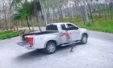 Phì cười với pha chạy theo giữ chiếc bán tải đang trôi dốc của nam tài xếicon