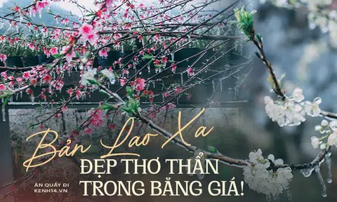 Ảnh: Vẻ đẹp băng giá của bản Lao Xa ở Hà Giang những ngày "âm độ C", tiên cảnh cũng chỉ cỡ này mà thôi!