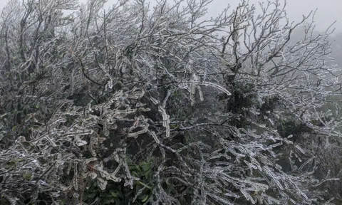 Miền Bắc đang đón đợt rét là 1 trong 6 đợt có nhiệt độ thấp nhất trong 40 năm trở lại đây