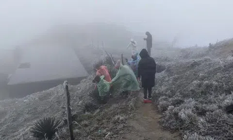 Miền Bắc còn rét liên tục đến tận đầu tháng 3