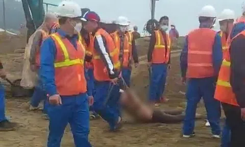 Nhóm phụ nữ mặc áo ngực bị công nhân kéo lê: Đã từng xô xát khiến 1 công nhân bị thương