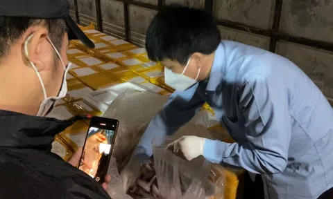 Bắt ôtô chở hơn 1,7 tấn cá khoai ướp formol đi tiêu thụ