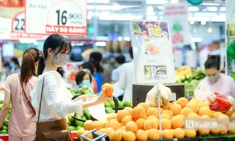 Phó Thủ tướng giao Bộ Tài chính sớm có hướng dẫn về giảm thuế VAT