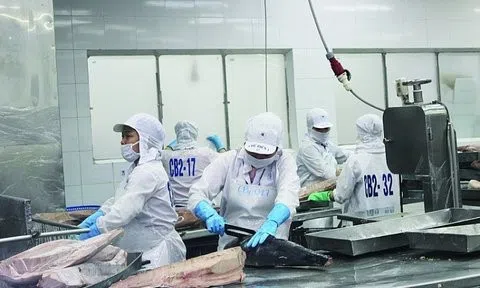 Ba kiến nghị VASEP gửi Thủ tướng Chính phủ và Bộ TN&MT