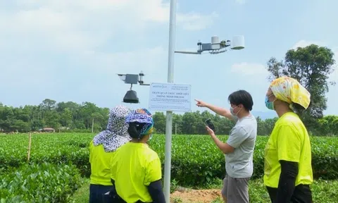 Đảm bảo chuyển đổi số tới từng thôn, từng bản