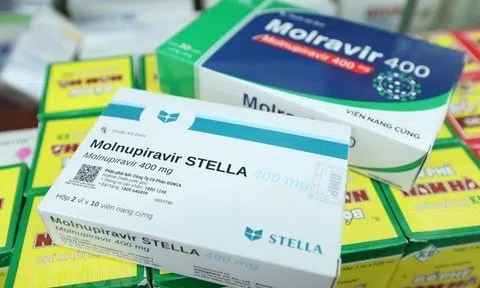 Năng lực sản xuất thuốc Molnupiravir của 3 đơn vị trong nước