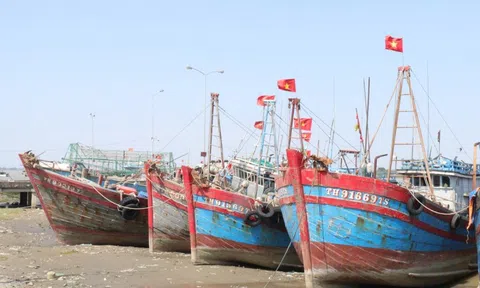 Giá xăng dầu lên đỉnh, tàu cá nằm bờ la liệt
