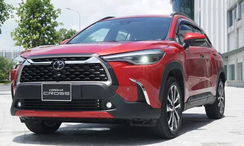 Top 10 hãng xe ô tô bán chạy nhất thị trường nội địa tháng 11/2021