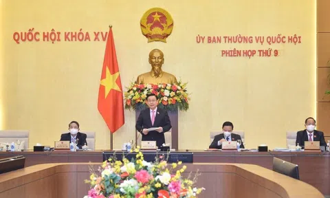 Nhiều bộ luật được xem xét trình Quốc hội