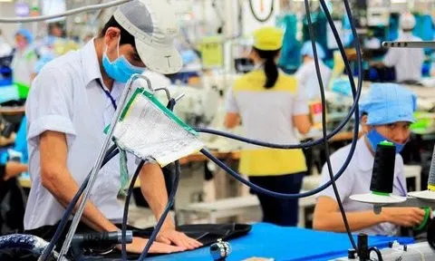 Thu thập thông tin về thị trường lao động