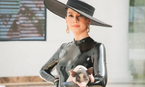 Siêu mẫu Anh Thư ẵm lợn đi chấm thi ‘The Face’