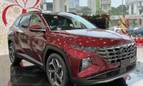 Những mẫu ô tô đang 'kênh' giá cả trăm triệu ở Việt Namicon